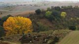 paisaje de la dehesa finca Villa María