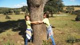 visita a la ganadería: descubriendo la naturaleza