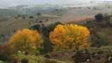 paisaje otoño 